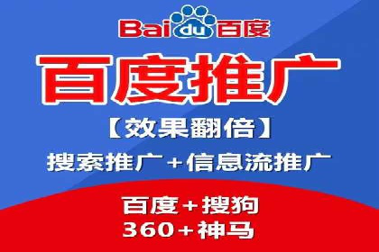 网络推广中的竞价广告：成功案例解析